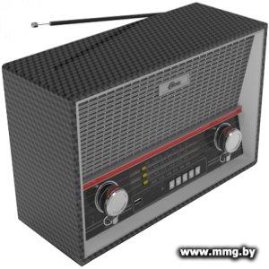 Купить Радиоприемник Ritmix RPR-102 (карбон) в Минске, доставка по Беларуси