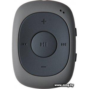 Купить MP3 плеер Digma C2LG (серый) [367272] в Минске, доставка по Беларуси