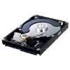 1000Gb Samsung HD103SI