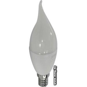Купить Лампа светодиодная Smartbuy C37-12W/6000/E14 Свеча на ветру в Минске, доставка по Беларуси