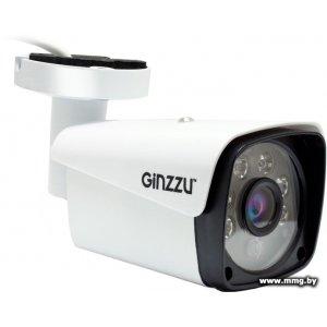 Купить IP-камера Ginzzu HIB-2301S в Минске, доставка по Беларуси