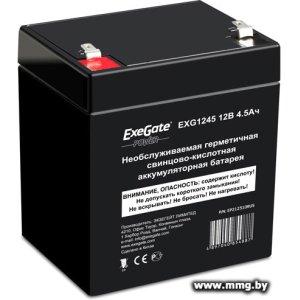 Купить ExeGate Power EXG 1245 (12В/4.5 А·ч) [EP212310RUS] в Минске, доставка по Беларуси