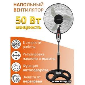Купить Esperanza EHF002KE в Минске, доставка по Беларуси