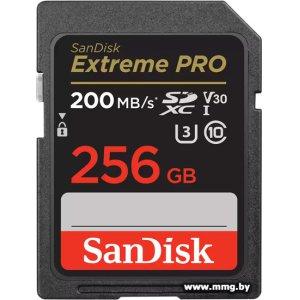 Купить SanDisk 256GB Extreme PRO SDXC SDSDXXD-256G-GN4IN в Минске, доставка по Беларуси