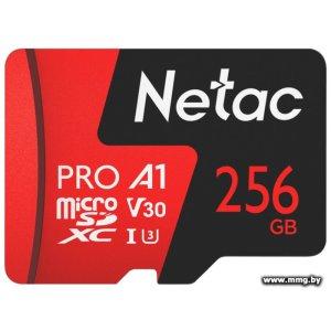 Купить Netac 256Gb MicroSDXC P500 Extreme Pro NT02P500PRO-256G-R в Минске, доставка по Беларуси
