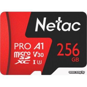 Купить Netac 256Gb MicroSDXC P500 Extreme Pro NT02P500PRO-256G-S в Минске, доставка по Беларуси