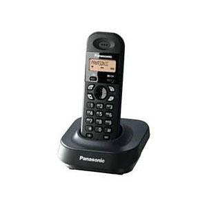 Panasonic KX-TG1401RUH (серый)