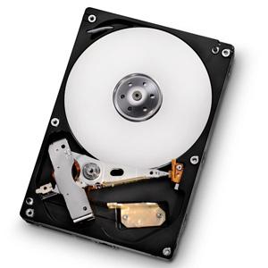 1000Gb HITACHI HDS721010DLE630