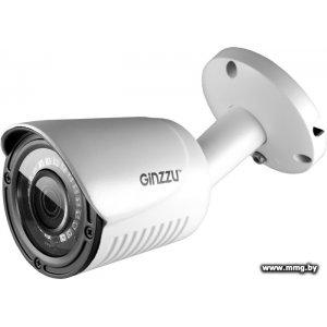 Купить IP-камера Ginzzu HIB-2031S в Минске, доставка по Беларуси