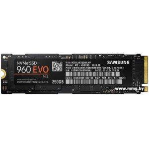 Купить SSD 250Gb Samsung 960 EVO M.2 (MZ-V6E250BW) в Минске, доставка по Беларуси