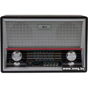 Купить Радиоприемник Ritmix RPR-101 (черный) в Минске, доставка по Беларуси
