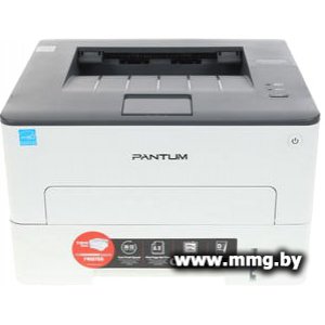 Pantum P3010D