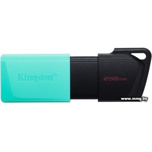 256GB Kingston Exodia M DTXM/256GB