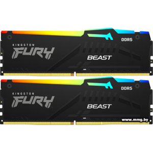 16GB (2x8GB) PC5-48000 Kingston KF560C36BBEAK2-16