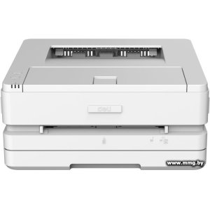 Deli P2500DW