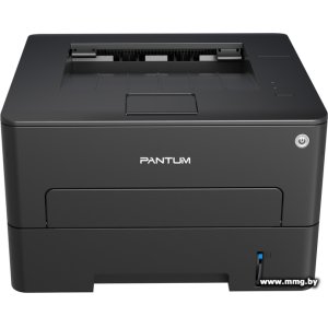 Pantum P3020D