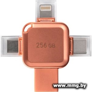 256GB SmartBuy Metal Quad (SB256GBMC15A)