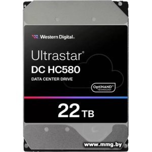 22000Gb WD Ultrastar DC HC580 WUH722422ALE604