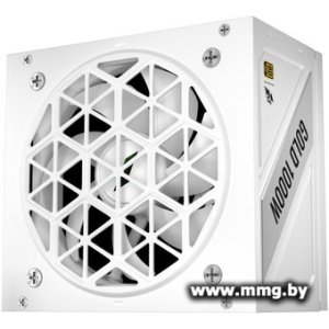1000W 1stPlayer NGDP Gold HA-1000BA4-WH