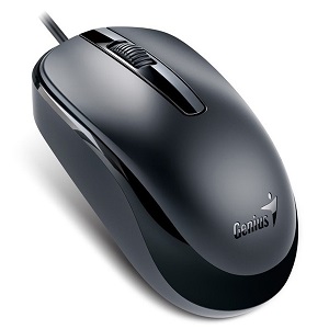Genius DX-120 (черный) 31010010400