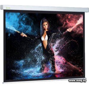 Cactus Wallscreen CS-PSW-168x299