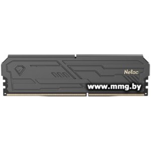 16GB PC4-25600 Netac NTSHD4P32SP-16K