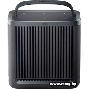 Xiaomi Outdoor Bluetooth Speaker Camp ASM06A (китайская версия) (QBH4255CN)